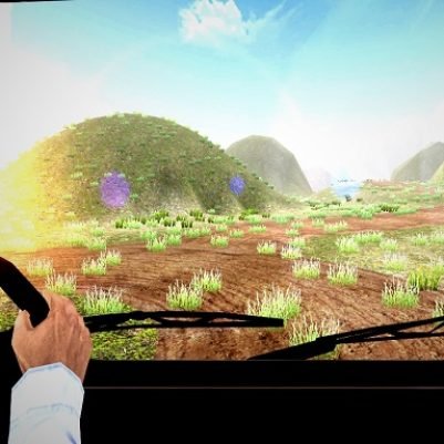 Real Cargo Truck Driver