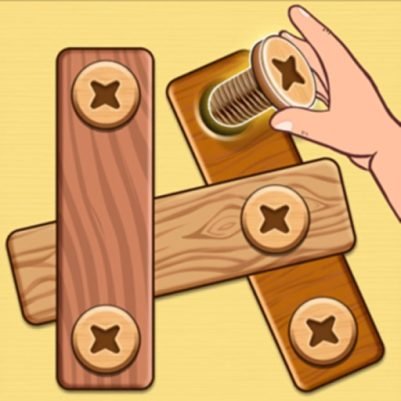 Nut Bolt Puzzle