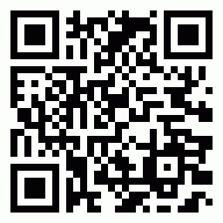GTA New York Game QR Code