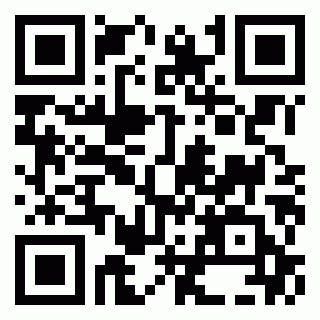 Crazy Racing Master Game QR Code